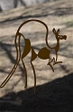 Kids_DZoo-SBreak2012 (33)